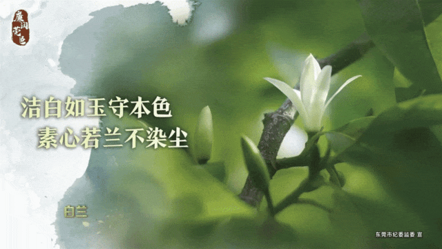 为什么控卫需要掌握多种进攻手段_0